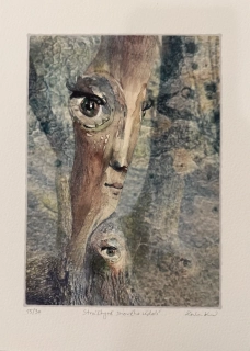 Kurovská Lenka: Strážkyně snového údolí