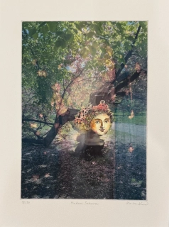 Kurovská Lenka: Madam Sakura