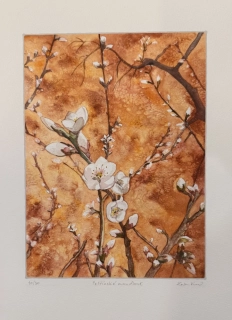 Kurovská Lenka: Petřínské mandloně