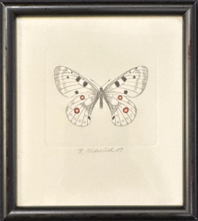 Mareček Rudolf: Jasoň červenooký