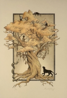 Jelenová Františka: Kniha džunglí