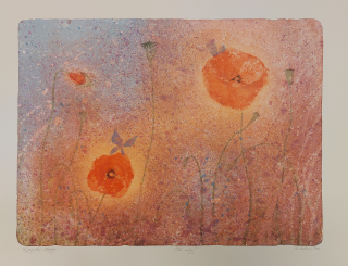 Kotková Markéta: Vlčí máky