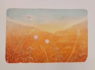 Kotková Markéta: Nad polem