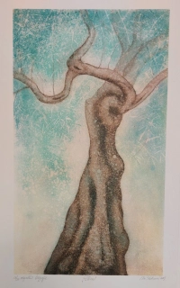 Kotková Markéta: Oliva