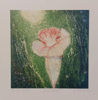 Kotková Markéta: Jemnostkvět