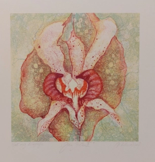 Kotková Markéta: Jsem květem II