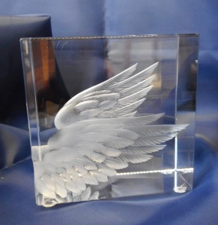 Tesařová Lucie: Perutě - těžítko