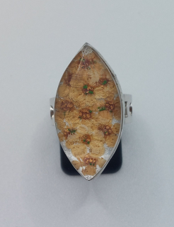 Machová Zuzana: Prsten I