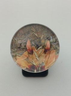 Machová Zuzana: Prsten XII