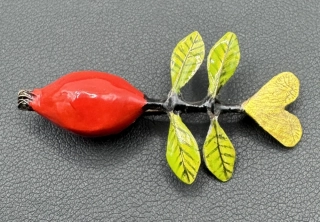 Novotná Veronika: Brož - Šípek