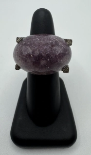 Votipka Karel: Prsten