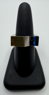 Votipka Karel: Prsten