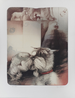 Stárková Olga: Moji pejsci