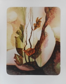 Stárková Olga: Anděl krajiny