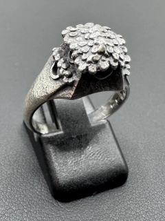 Mašková Zuzana: Prsten - Šest oken