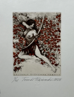 Hřivnáč Tomáš: Diana v keři růže (Exlibris)