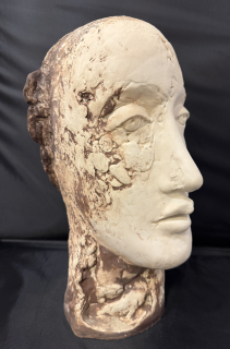 Košnářová Jarmila: Vizionářka