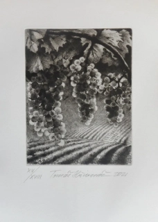 Hřivnáč Tomáš: Vinohrad (Ex libris)