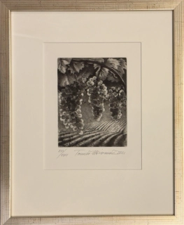 Hřivnáč Tomáš: Vinohrad