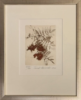 Hřivnáč Tomáš: Jeřabina