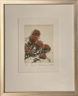 Hřivnáč Tomáš: Pohutukawa Tree