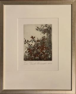 Hřivnáč Tomáš: Šípky