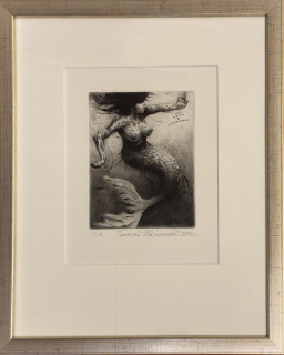 Hřivnáč Tomáš: Mořská panna