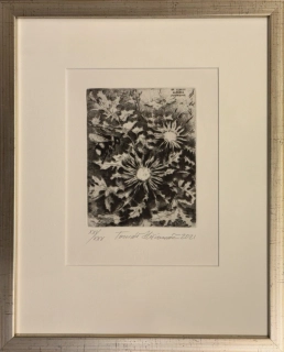 Hřivnáč Tomáš: Pupava