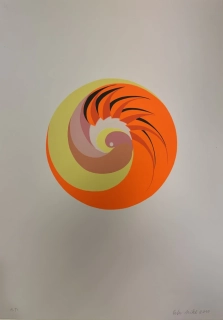 Nikl Petr: Papoušek zvířený