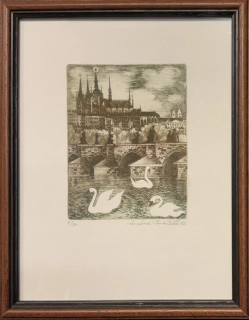 Lesařová - Roubíčková Michaela: Praha - Vltava s labutěmi