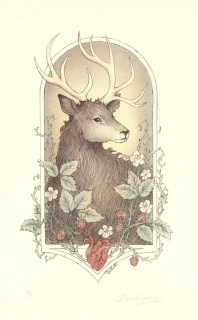 Jelenová Františka: Jelen a maliník