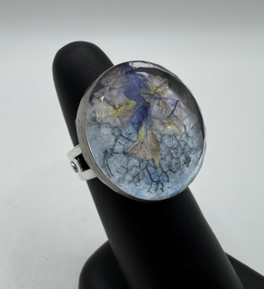 Machová Zuzana: Prsten XVI