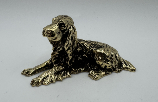 Garguláková Ivana: Kokršpaněl ležící