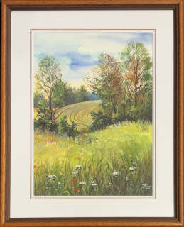 Diblík Tomáš: Louka a pole