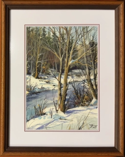 Diblík Tomáš: Nasněženo u potoka