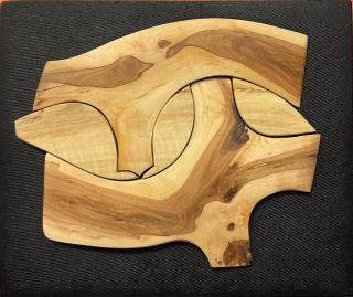 Patřičný Martin: Slepé rameno řeky