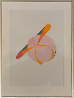 Nikl Petr: Růžová planetka