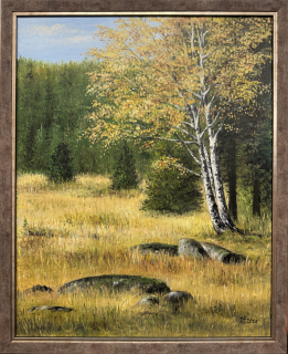 Živorová Dana: Tichý podzim u Černé Nisy