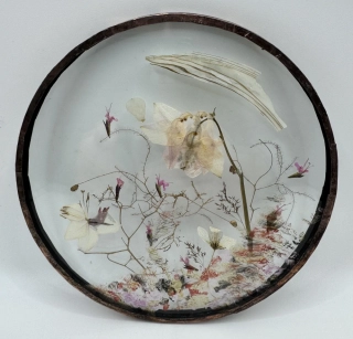 Machová Zuzana: Podtácek I.