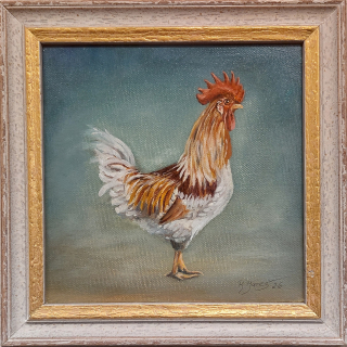 Mareš Rudolf: Kohoutek