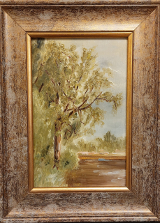 Dětinská Vlasta: Praha - Topol u Vltavy (z Libeňského ostrova k mostu)