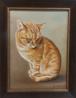 Mareš Rudolf: Kocourek