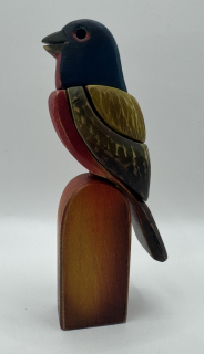 Šetelíková Jaroslava: Papežík zelenohřbetý