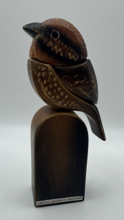 Šetelíková Jaroslava: Lenivka skvrnitá amazonia