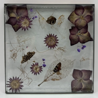 Machová Zuzana: Deska - koláž