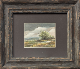 Skála Pavel: Rašeliniště