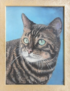 Brodská Vladimíra: Kocourek šampion