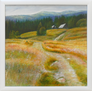 Divišová Jaroslava: Jít tou cestou