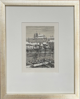 Luňák Hynek: Praha od Vltavy
