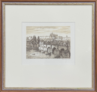 Luňák Hynek: Praha - Panorama Hradčan
